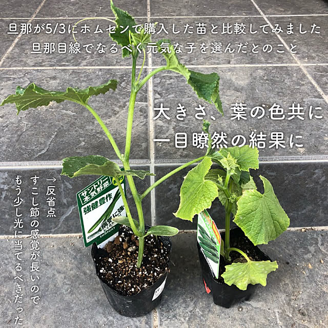 moochan2020さんの実例写真