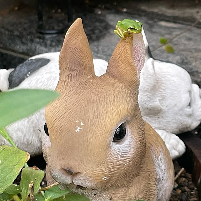 emikoさんの実例写真