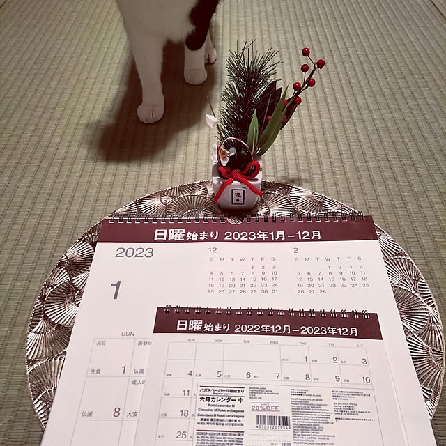 hihaさんの実例写真