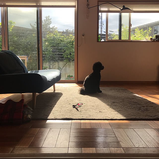 mignonさんの実例写真