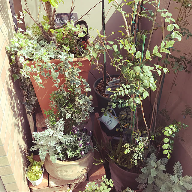 ange0919さんの実例写真