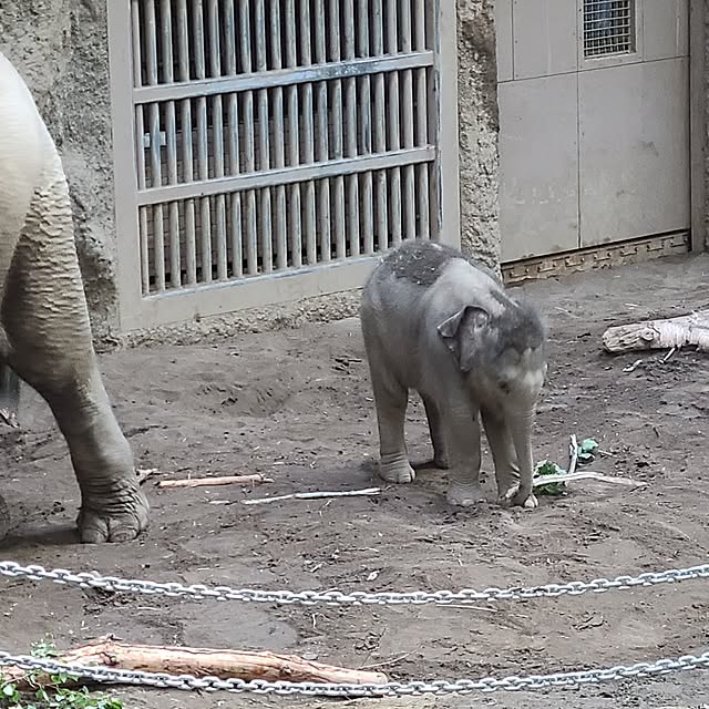 monnさんの部屋
