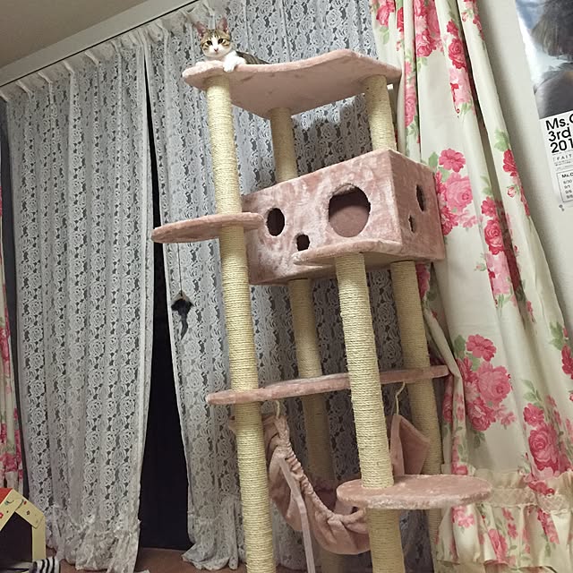 kappaさんの実例写真