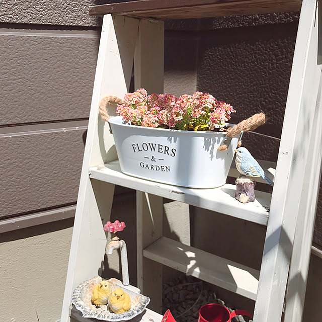kotoriさんの実例写真