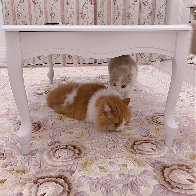 Madokaさんの実例写真