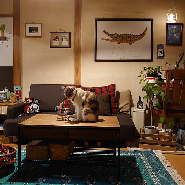 fukuさんの実例写真