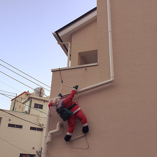 pecoさんの実例写真