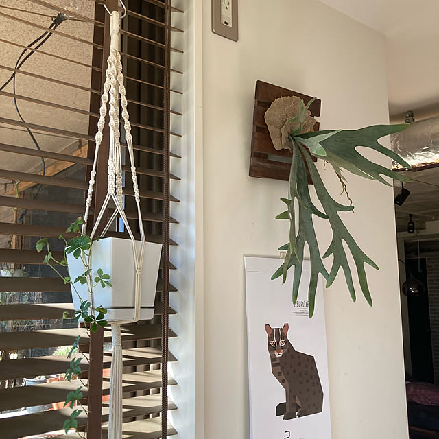 kan2さんの部屋