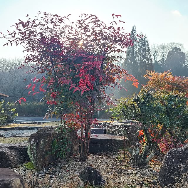 Rubiconさんの実例写真