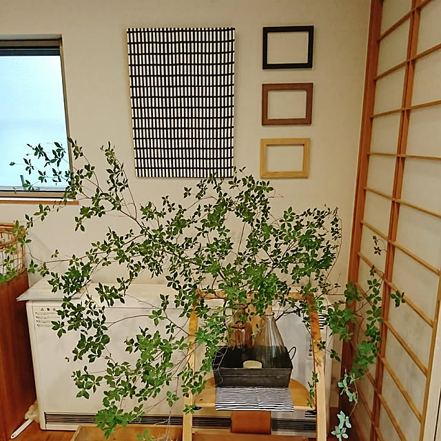 C.fieldさんの実例写真