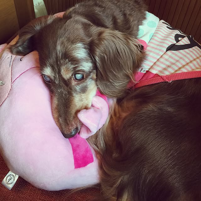 Eikoさんの実例写真