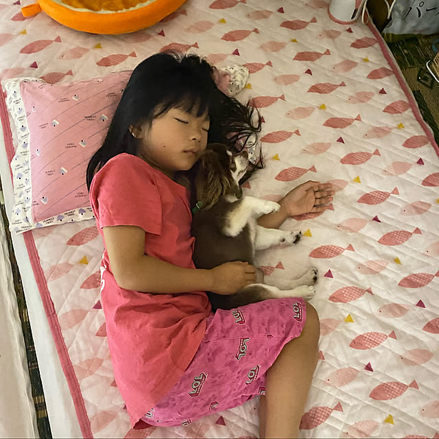 chIoeさんの実例写真