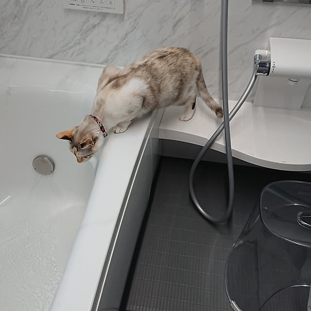kohakuさんの実例写真
