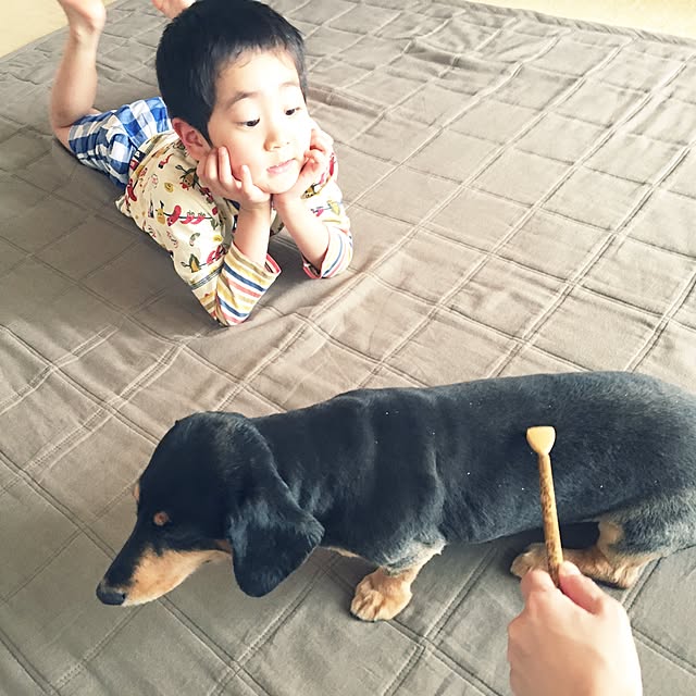 ohanaさんの実例写真