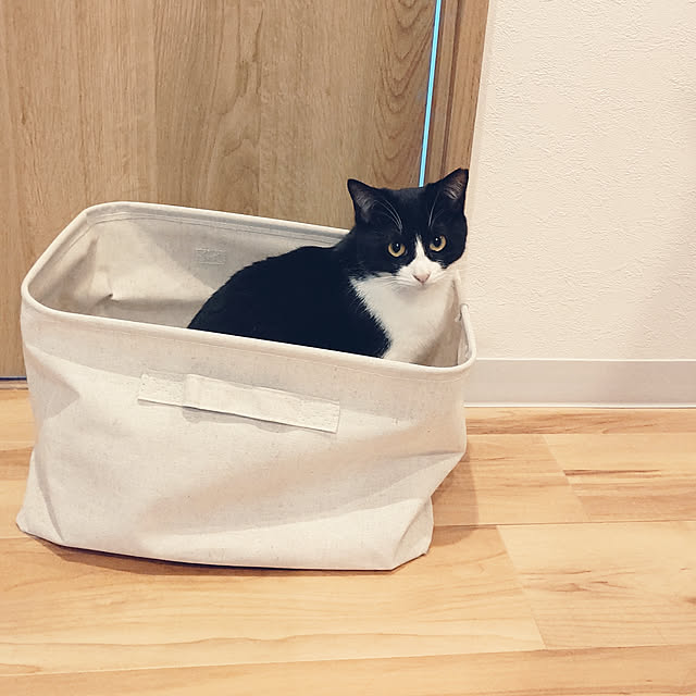 hihaさんの実例写真
