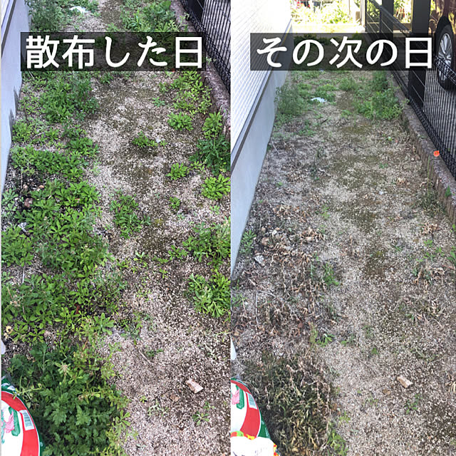 moochan2020さんの実例写真