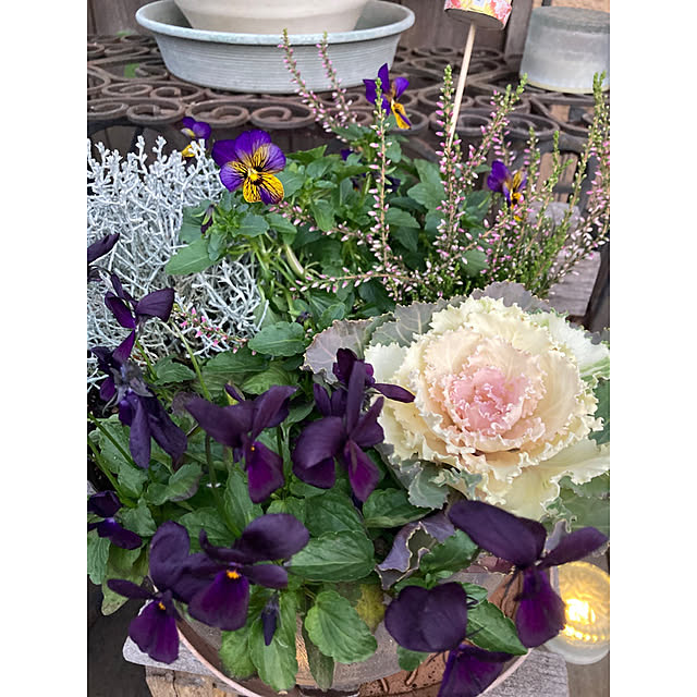 amiromikaさんの部屋