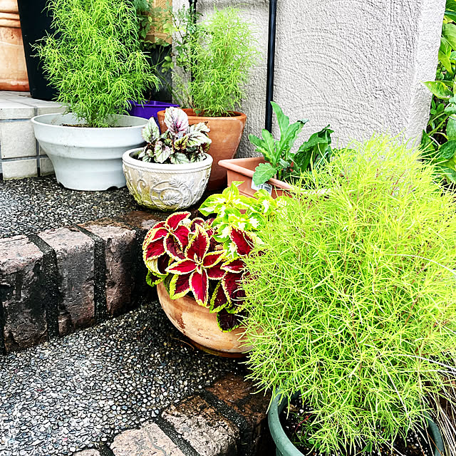 asako.10さんの部屋