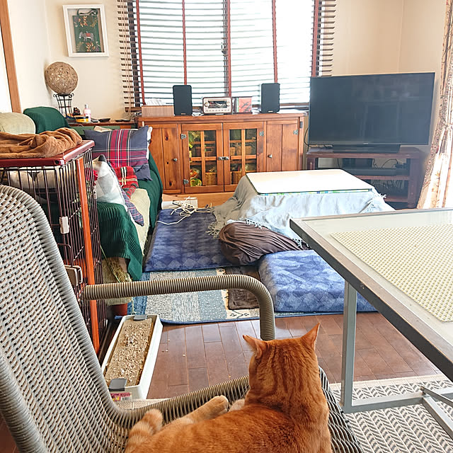 okyosan101さんの実例写真