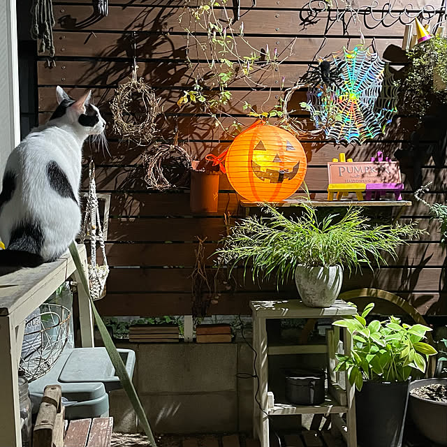 nobikoさんの実例写真
