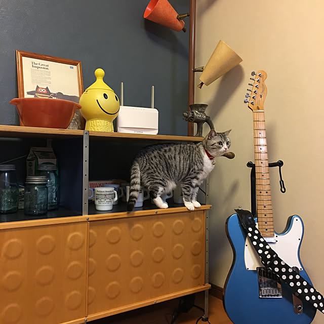 Shojiさんの実例写真