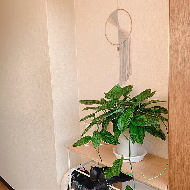 sssさんの実例写真