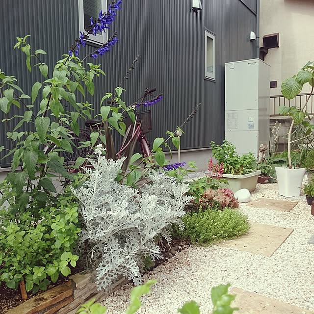 yurijiの-芝の根とめ 40枚組 芝 雑草 侵入 ブロック ストップ 防止 根とめ 根きり 芝止め 土留め 防草 芝生 花壇 仕切り お庭 ガーデニング 手入れの家具・インテリア写真