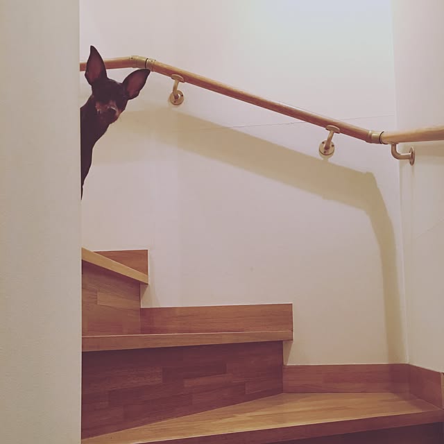 ayaさんの実例写真