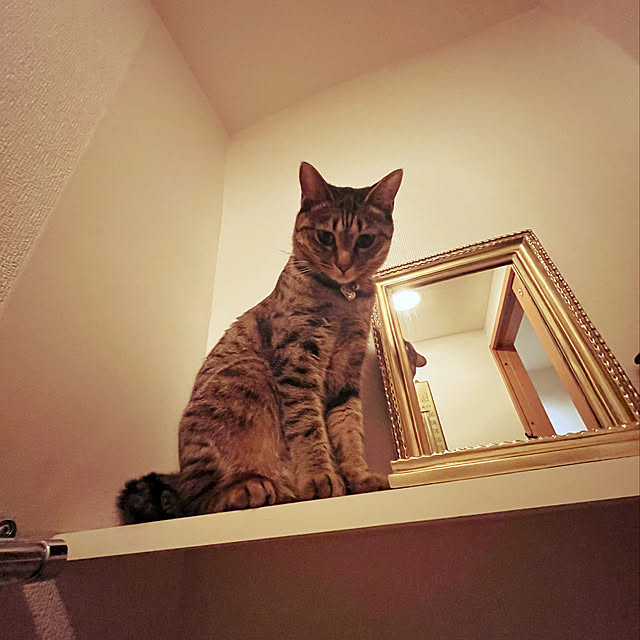 Mさんの実例写真