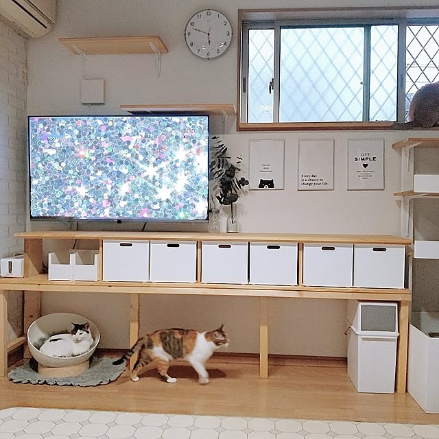 kirakirahikaruさんの実例写真
