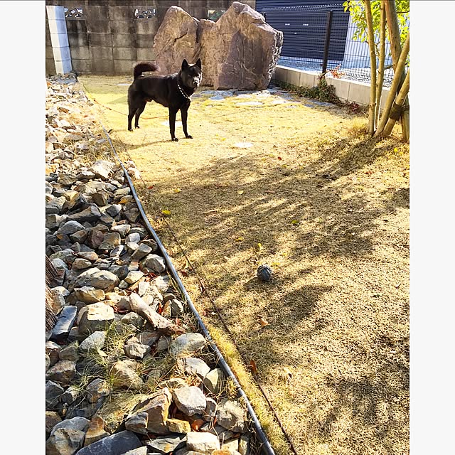 rikorikoさんの実例写真