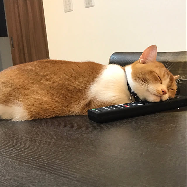 KotarouKunさんの実例写真