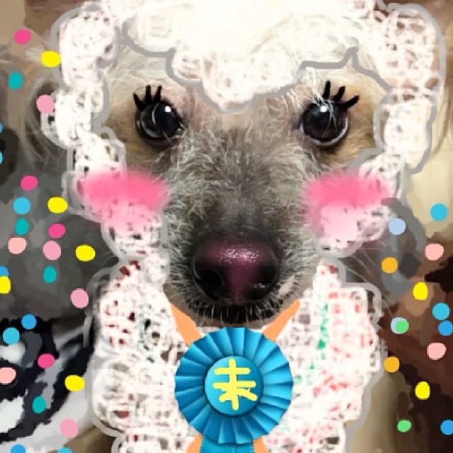 Emiさんの実例写真