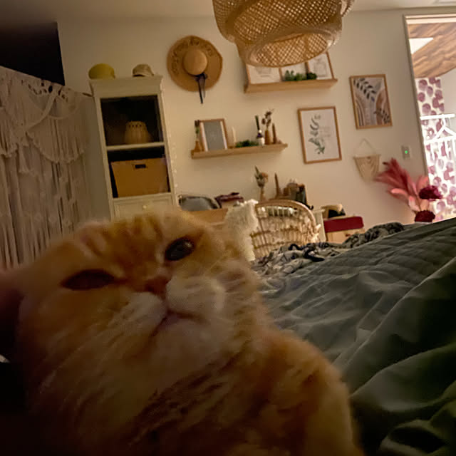Mahoさんの実例写真