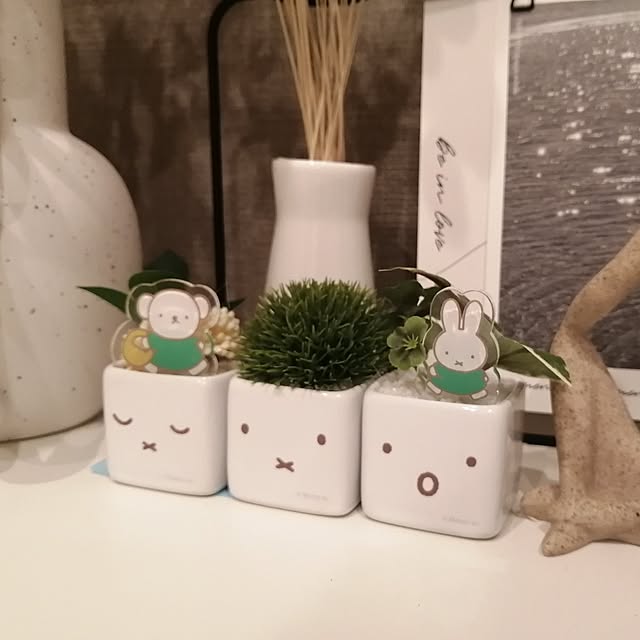 AUD1さんの実例写真