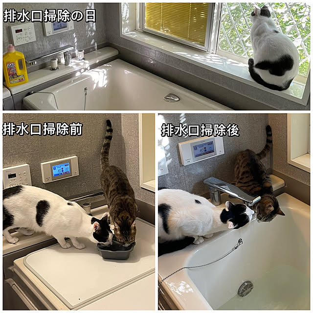 nobikoさんの実例写真