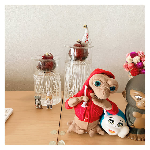 Maicoさんの実例写真