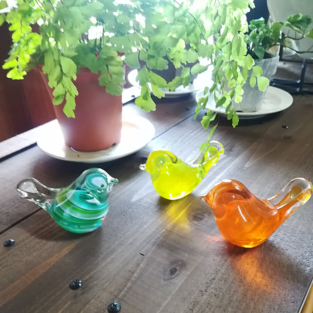 amanojakuさんの実例写真