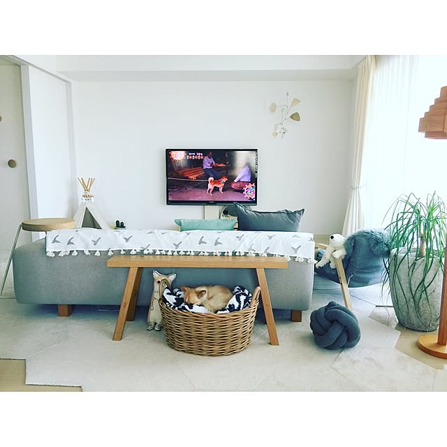 haruhinaさんの実例写真