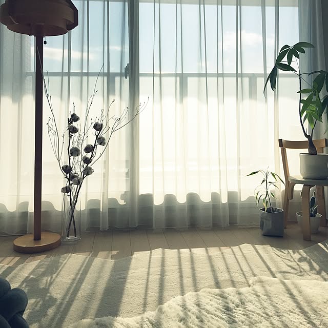 haruhinaさんの実例写真