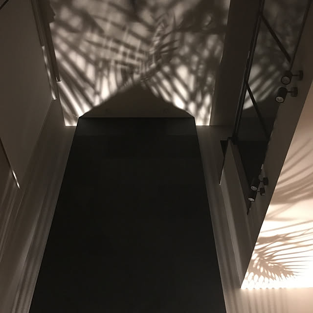 toluckyさんの実例写真