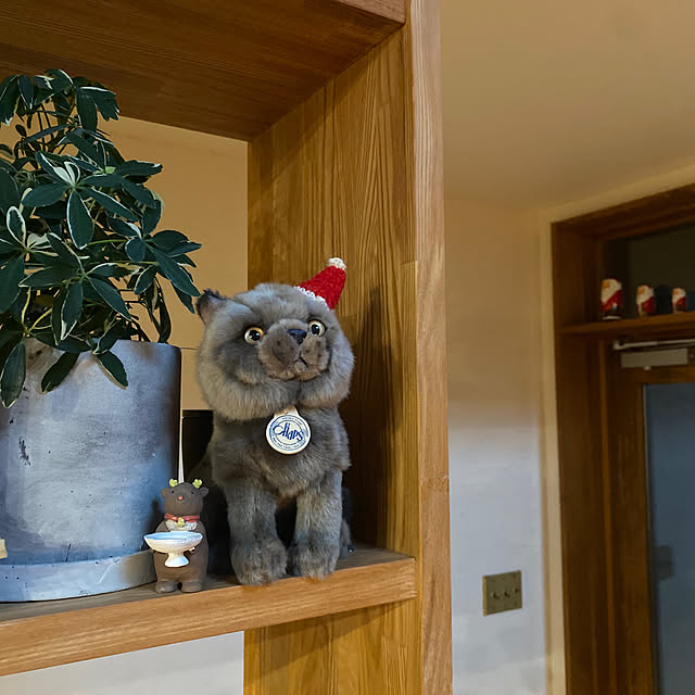 sznoieさんの実例写真