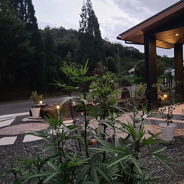 Rubiconさんの部屋
