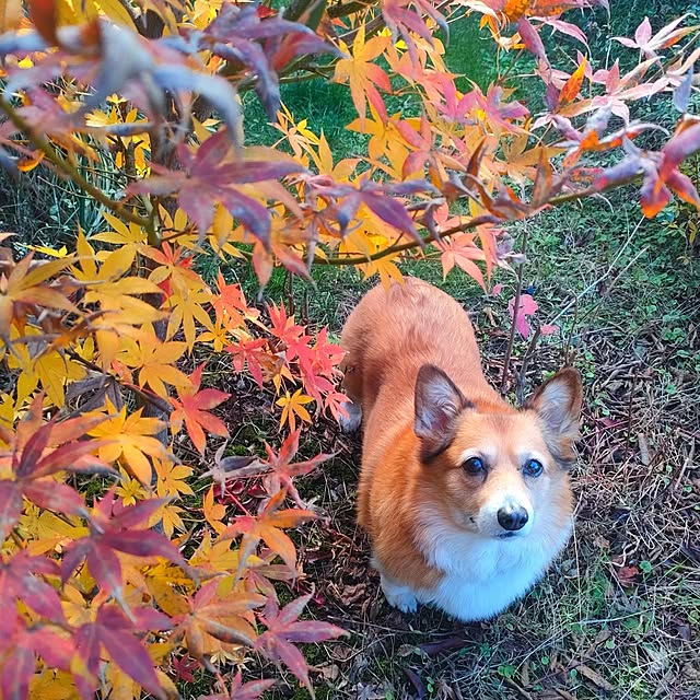 massy0501さんの実例写真