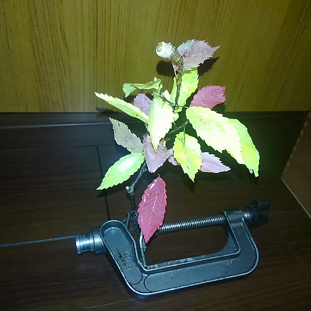 nishiさんの実例写真