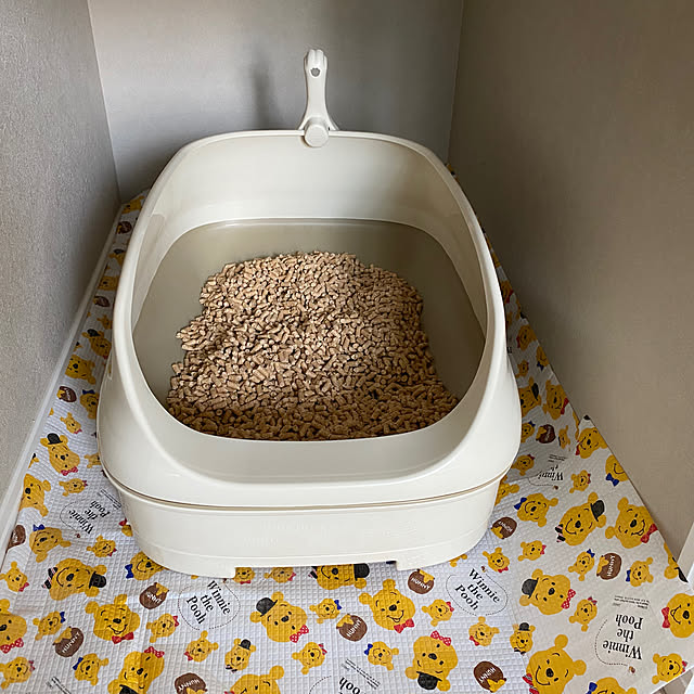 satopiさんの部屋
