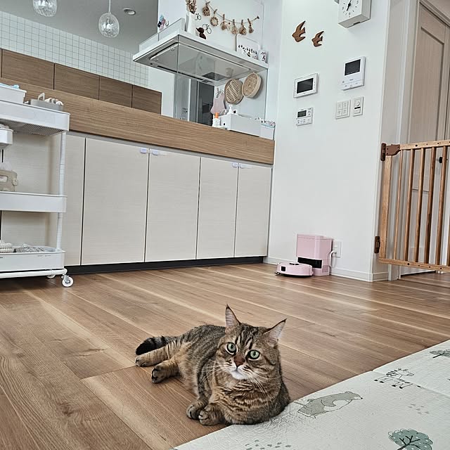 annyaさんの部屋