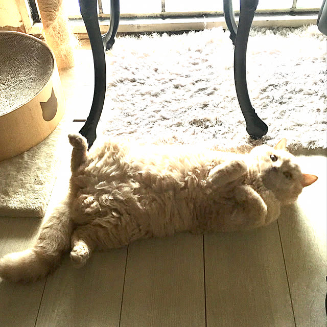 naokoさんの部屋