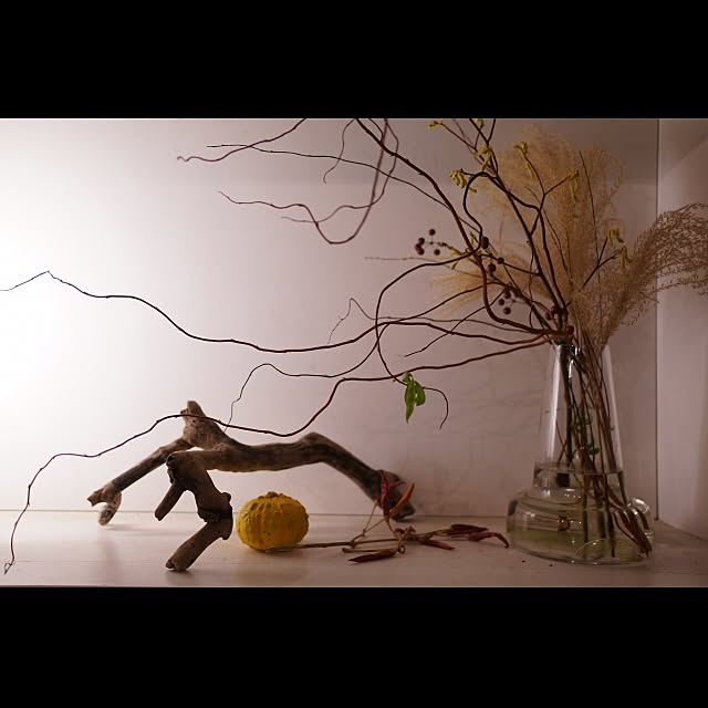 Design papa Ka-tuさんの実例写真