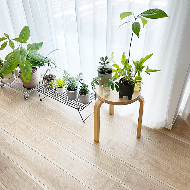 itoさんの実例写真